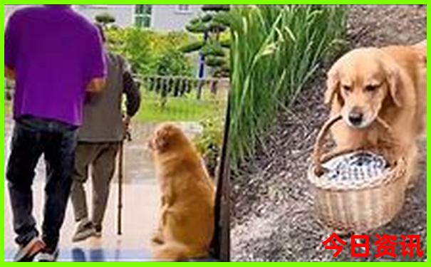 云南夏天比较凉的地方